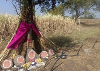 लोहारा शहरासह तालुक्यात वेळअमावस्या सण साजरा