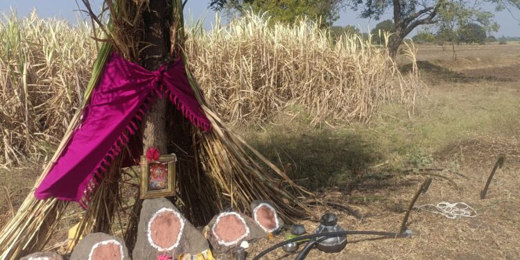 लोहारा शहरासह तालुक्यात वेळअमावस्या सण साजरा