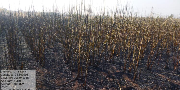 ऊसाला लागलेल्या आगीत लाखोंचे नुकसान – लोहारा तालुक्यातील धानुरी येथील घटना