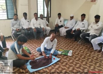 लोहारा तालुक्यातील माकणी येथे कृषी संजीवनी पंधरवडा साजरा