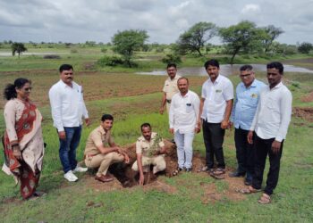 मार्डी ते तोरंबा गावाकडे जाणाऱ्या रस्त्याच्या दुतर्फा दोनशे सिसम वृक्षाची लागवड