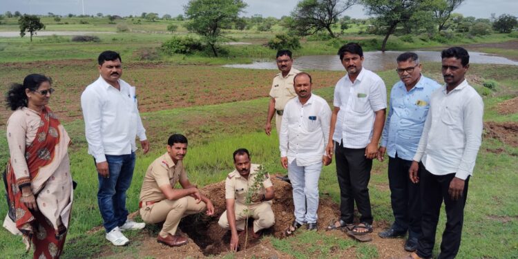 मार्डी ते तोरंबा गावाकडे जाणाऱ्या रस्त्याच्या दुतर्फा दोनशे सिसम वृक्षाची लागवड