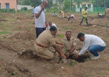 सास्तुर परिसरात १५० झाडांचे वृक्षारोपण
