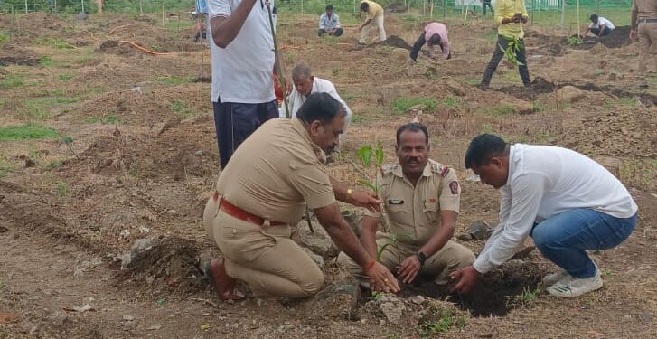 सास्तुर परिसरात १५० झाडांचे वृक्षारोपण