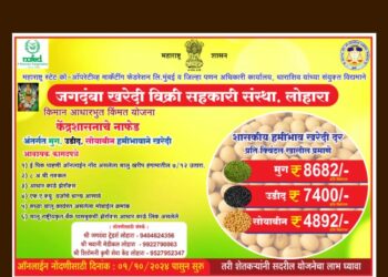 मार्डी मध्ये उडीद मूग व सोयाबीन शासकीय हमीभावाने होणार खरेदी
