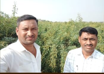 खेड येथील युवा शेतकऱ्याचा अनोखा प्रयोग