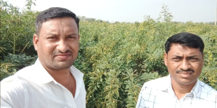 खेड येथील युवा शेतकऱ्याचा अनोखा प्रयोग