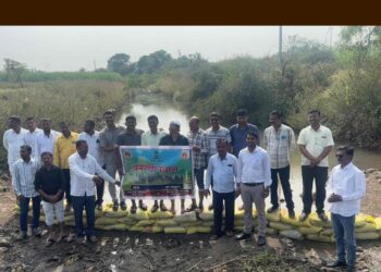 कृषी विभागाने श्रमदानातून उभारले वनराई बंधारे