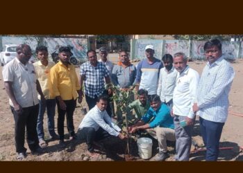 होळी येथील जिल्हा परिषद शाळा व मंदिर परिसरात वृक्षारोपण