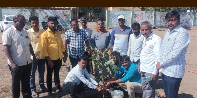 होळी येथील जिल्हा परिषद शाळा व मंदिर परिसरात वृक्षारोपण