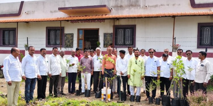 जागतिक पर्यावरण दिन व शिवराज्याभिषेक दिनानिमित्त वृक्षारोपण